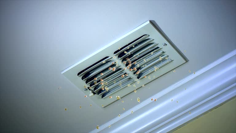 Best Residential Air Duct Cleaning  in Sunnyvale, CA